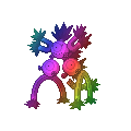 Rainbow Sandy Shocks